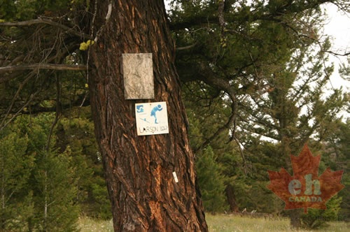 Nature Trail