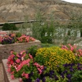 Bridge Over Thompson River