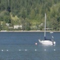 Anchored for the Night