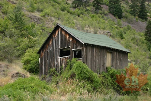 Abandoned Shack