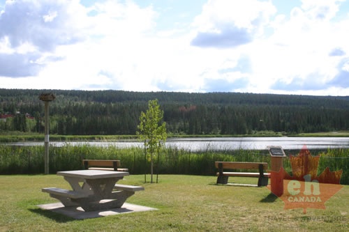 Picnic Site