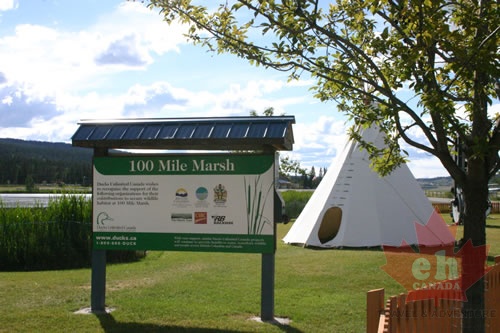 Ducks & Teepees