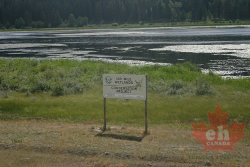 Signage From Highway
