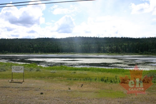 130 Mile Wetlands - display this album 130 Mile Wetlands