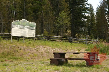 Picnic Site