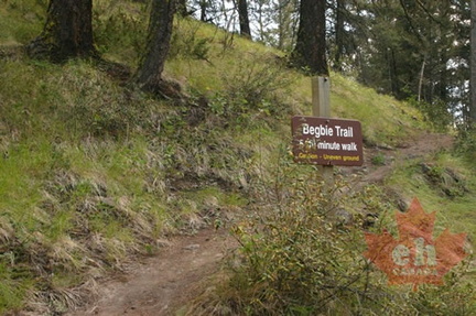 Hiking Trail