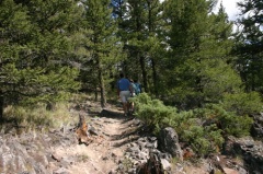 Hikers