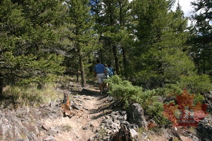 Hikers