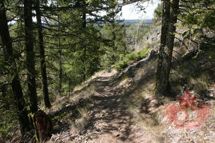 Trail Follows Ridge