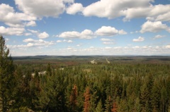 Views from Lookout