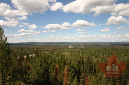 Views from Lookout