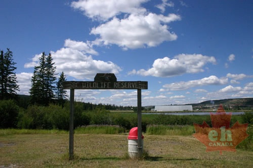 Entrance to Bird Sanctaury