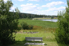 Looking out onto the BC Wildlife Reserve viewing_bench.jpg