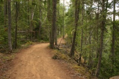 trail 002.jpg