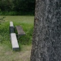 Foot Bridge