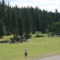 Grass Fields