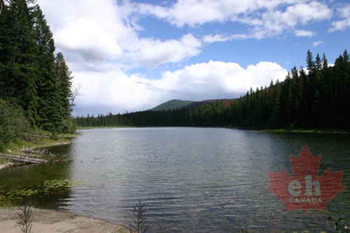 Cougar Lake - display this album Cougar Lake