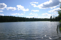 Lake Views