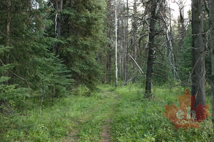 Hiking Trail