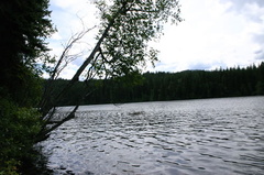 Peek-a-boo Lake Views