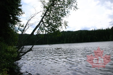 Peek-a-boo Lake Views