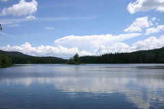 Mirror Lake Views