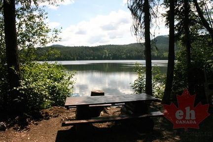 Picnic Site
