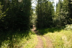 Hiking Trail