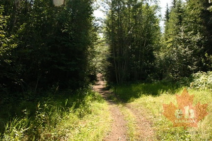 Hiking Trail