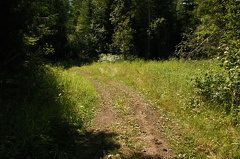 Hiking Trail