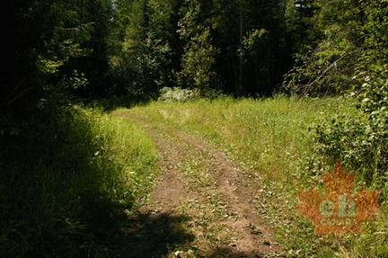 Hiking Trail