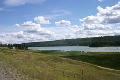 Grasslands