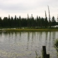 Lake Reflections