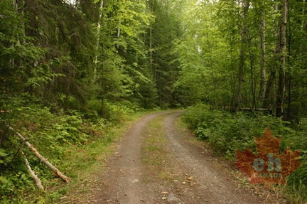 Gravel Road