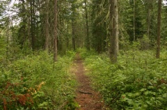 Hiking Trail
