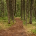 Hiking Trail