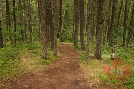 Hiking Trail