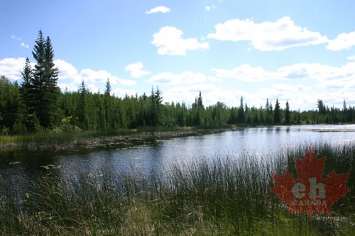 Davis Lake