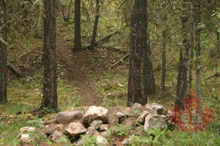 Dirt Rock Jump