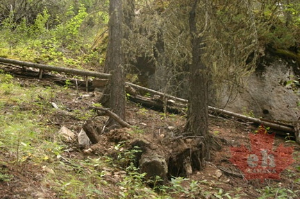 Raised Single Track Trail