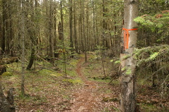 lower_mtn_trails 005.jpg