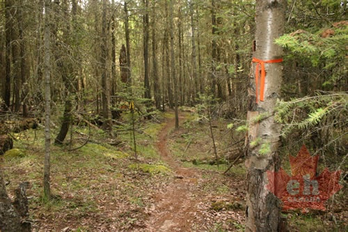 lower_mtn_trails 005.jpg