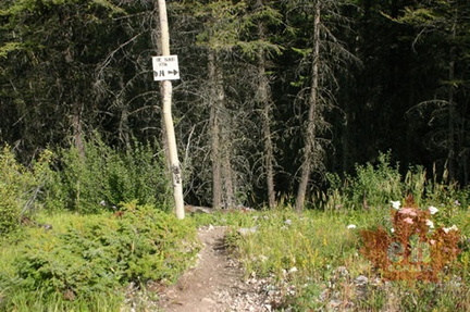 Trail Marker