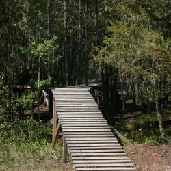 Fox Mountain