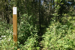 trailhead_mason_rd 002.jpg
