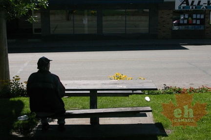 Sitting in the Shade
