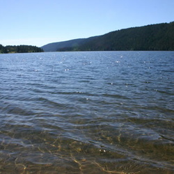 McLeese Lake
