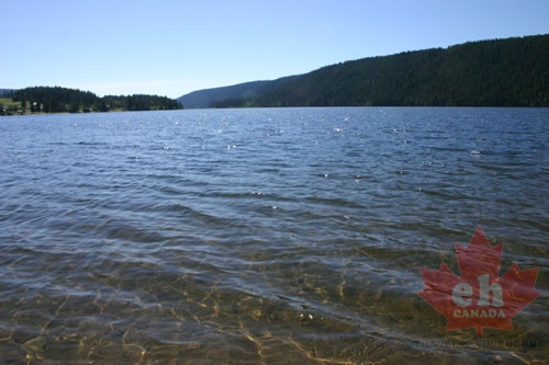 McLeese Lake