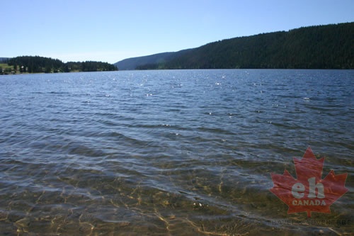 Clear and Blue