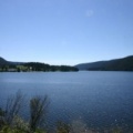 Lake Views